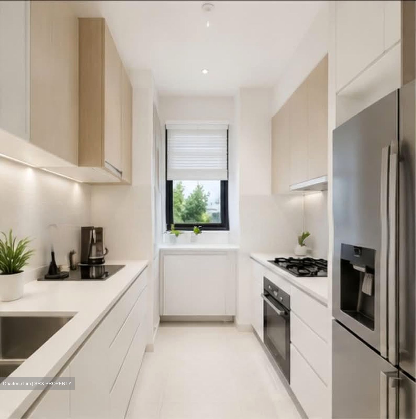 Daintree Residence (D21), Condominium #593294531